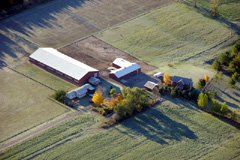 Home is where the horses are! Our farm, from left to right: mother-in-law's house, riding arena, barn, garage, and our house. October 2005.