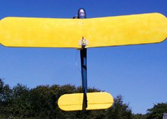 How not to power 3D: the motor is too small, there's no gearbox, and the propeller produces only about 1/3 the plane's weight in thrust. This is Tracy Narine's <i>Teddy</i> aspiring to bigger things.