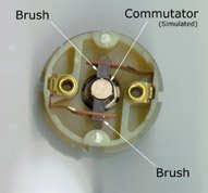 Photo 2. The brushes in a "can" motor are held in place by alloy leaf springs that also serve to carry current. The commutator has been simulated with a piece of dowel with some markings on it to better show how it mates with the brushes.