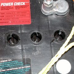 The water level should be above the plates, but below the top of the battery casing.