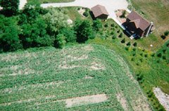 This view is from the west from about 400ft, over our neighbour's corn field. The corn is a bit patchy this year.