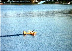 The PuddleMaster on its way into the reeds.