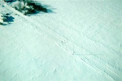 This is our driveway, with fields on either side of it. This view is looking south-west, from about 500ft or so. The driveway is partly snowed in. I'd cleared it the previous day, but there were strong winds overnight. At the top left is my mother-in-law's house (at the side of the photo) and our garage (at the top). And there in the very middle of the photo, am I.