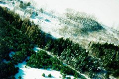 Here we are looking to the west, from about 500ft. At the top left are some cottages along the lake. To the right are two trails, one in front of the pines, and one behind. The white area at the top right is the lake.